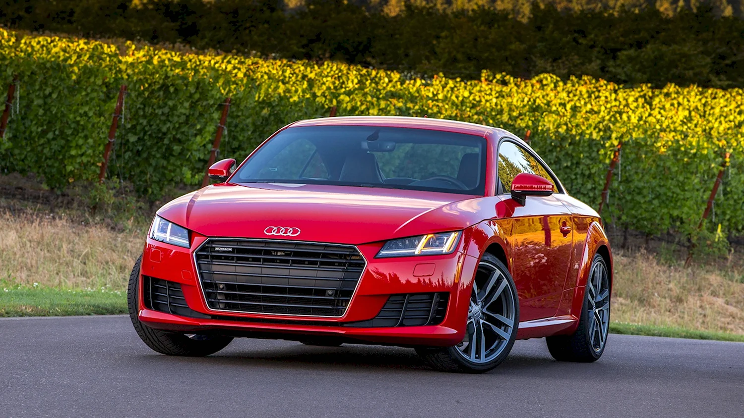 Audi TT 2017