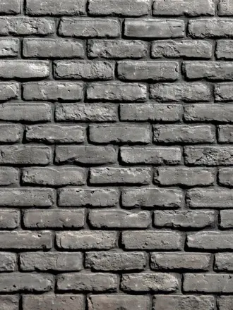 Блэк БРИК