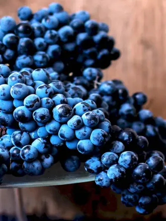 Blueberry виноград