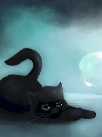 Черная кошка