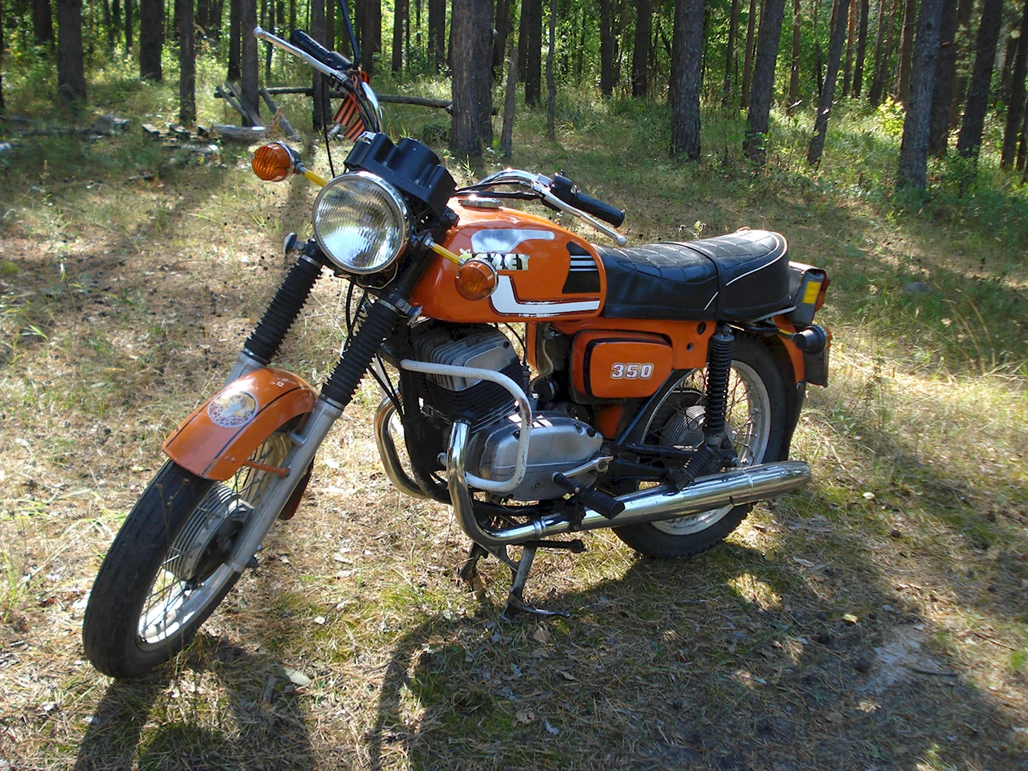 Чизетта Тула