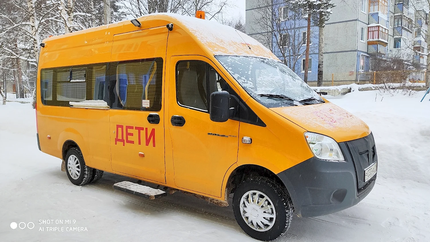 Газель next Луидор