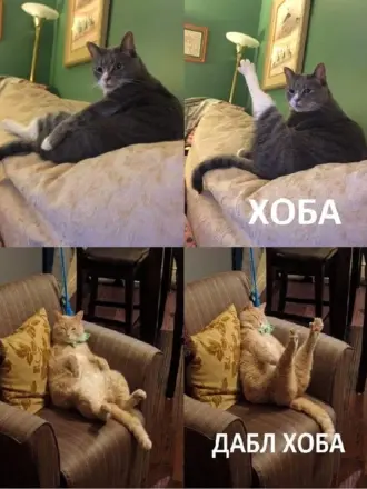 Хоба