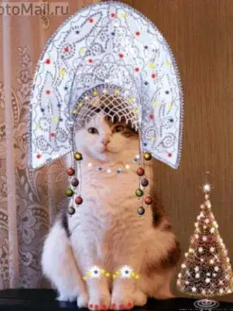 Кошка в кокошнике