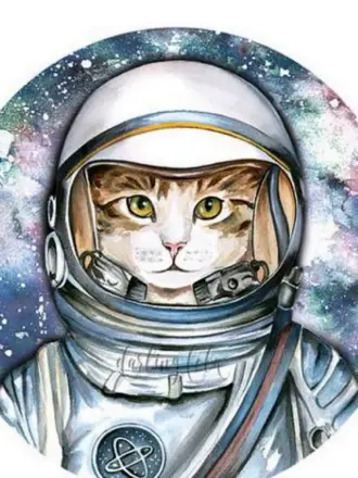 Кот космонавт