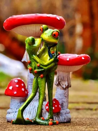Лягушка на мухоморе