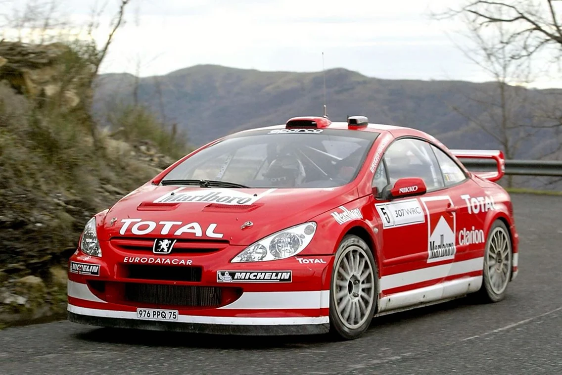Peugeot 307 WRC 2004