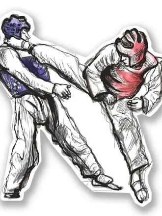 Рукопашный бой