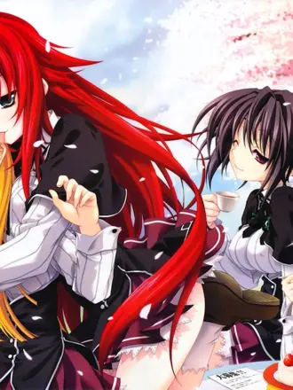 Старшая школа DXD