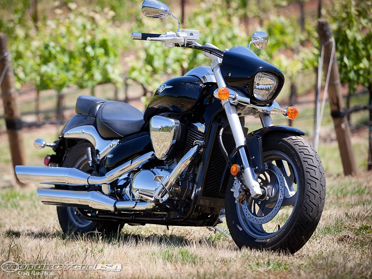 Suzuki Boulevard m50