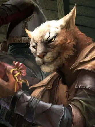 The Elder Scrolls арт каджит