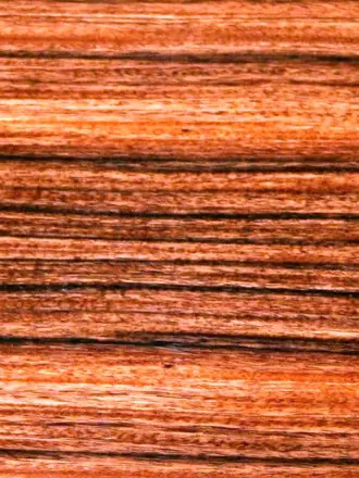 Walnut g3501