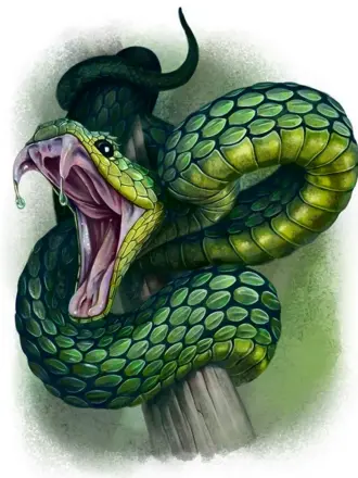 Змея Аспид зеленый