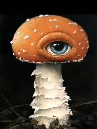 Аманита Мускария психоделика