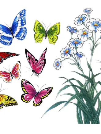 Бабочка рисунок