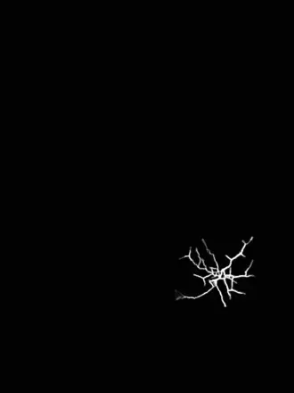 Черный фон на рабочий стол