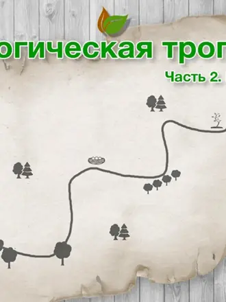 Экологическая тропа игра