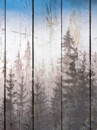 Фактура дерева на стене