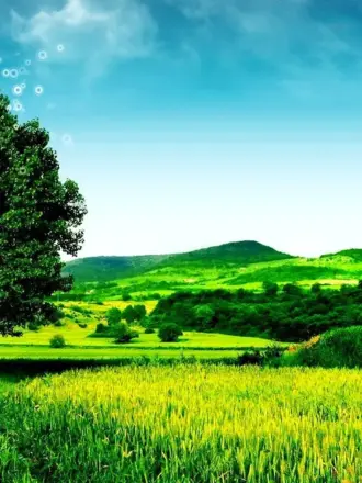 Фон природа