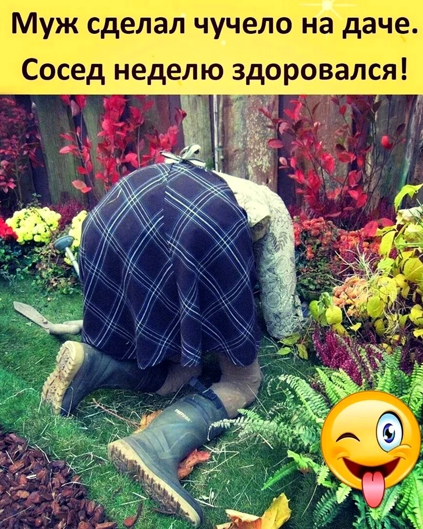 Приколы на даче и просто про неё