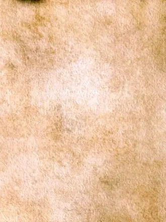 Исторический фон для презентации