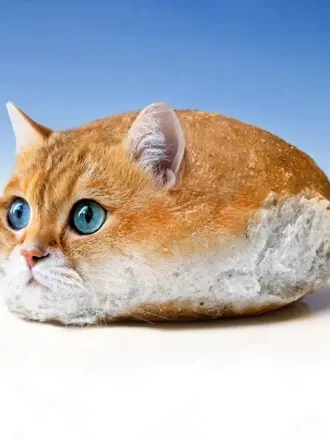Кошка батон
