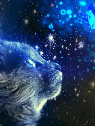 Космический кот