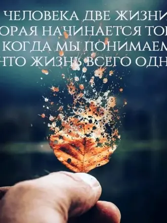 Красивые цитаты