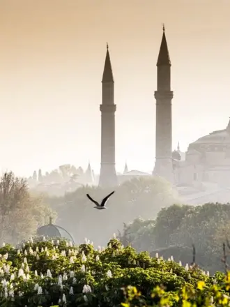 Мечеть на рассвете