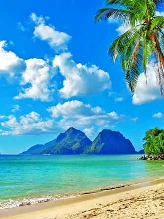 Море пальмы фото высокого разрешения