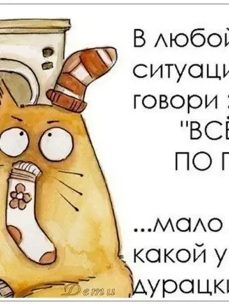 Мотивирующие цитаты с юмором