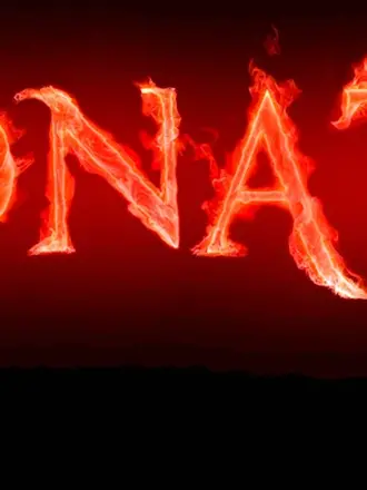 Надпись donate