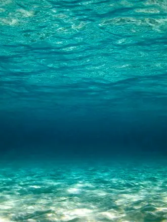 Океан под водой