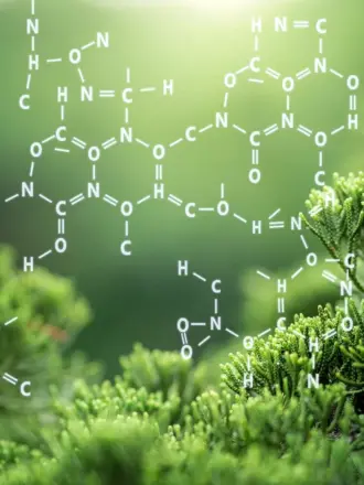 Органическая химия