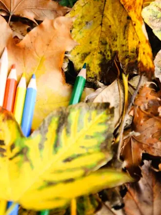 Осень школа