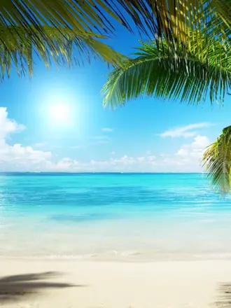 Пальмы и океан