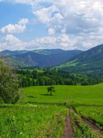 Пейзаж села Алтайского Алтайского края-