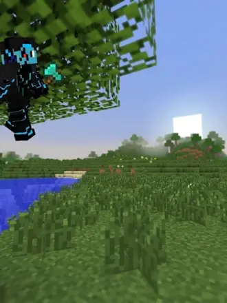 Поле в МАЙНКРАФТЕ