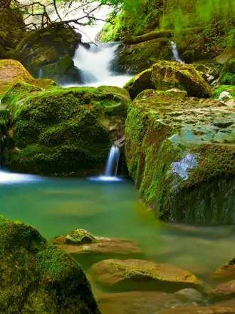 Природа
