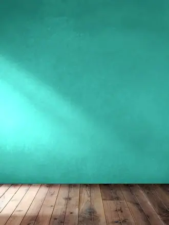 Пустая стена