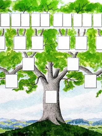 Родословное дерево Шежере