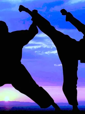 Рукопашный бой