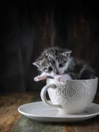 С добрым утром