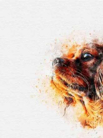 Собачий фон для презентации