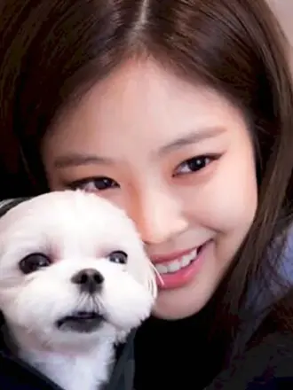 Собака Кай Jennie