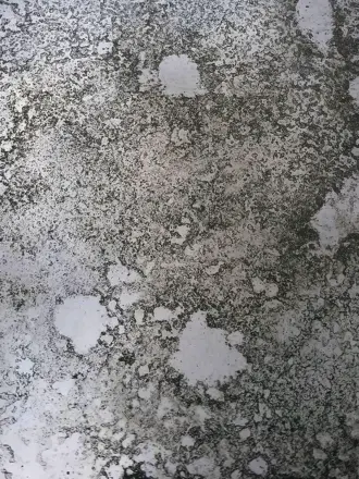 Состаренное зеркало в 3д Макс корона