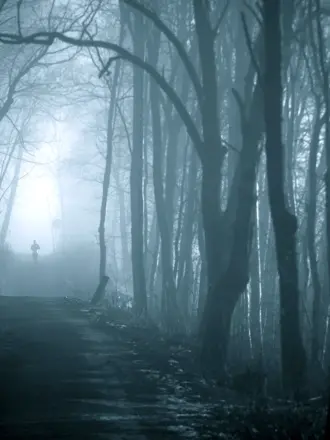 Темный лес Twilight Forest