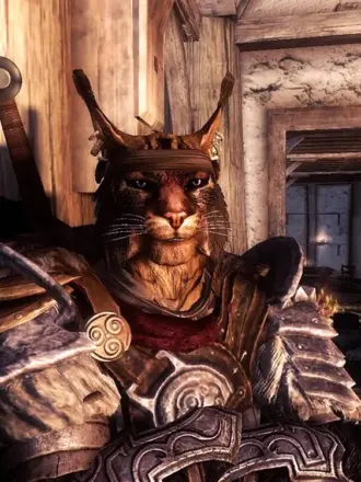 The Elder Scrolls каджит