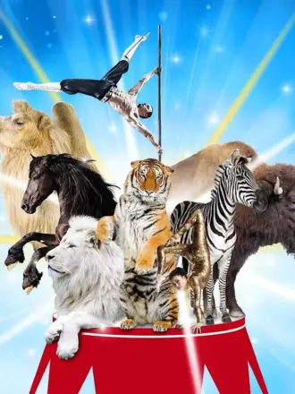 Цирковой фон