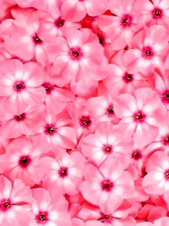 Цветочный фон